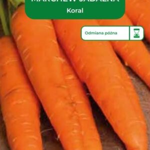 Sėklos, morkos KORAL, 5 g