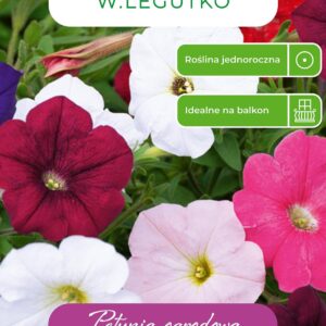 Sėklos petunija MIX, 0.1 g - Image 1