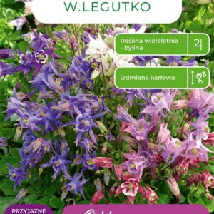 Sėklos sinavada BIEDERMEIER MIX, 0.3 g