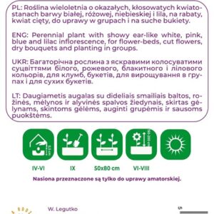 Sėklos pentinis PACIFIC GIANT MIX, 0.5 g - Image 2