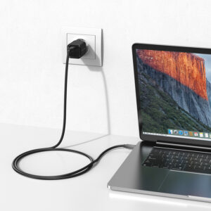 Blavec Wall charger BC-6 GaN4 - Type C - PD QC 33W 3A with Type C to Type C cable (TCBC6G4-CB333A+CC) juodos spalvos - Image 4