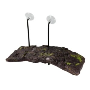 ZOOMED vidutinė vėžlių sala 18x39cm - Image 2