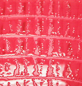 Nexgen Skins with 3D effect for iPhone 5/5s/SE Alligator Fuchsia 3D - Image 3