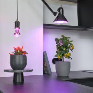 Lemputė Osram LED, E27, 10 W, 330 lm - Image 3