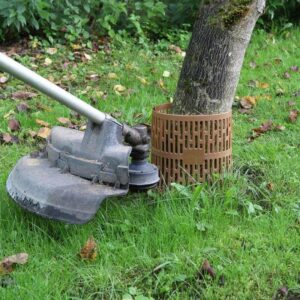 Medelių apsauginis tinklas 124521, 0.34 m x 20 cm - Image 2