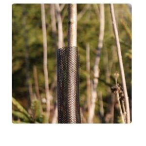 Medelių apsauginis tinklas 241041, 0.8 m x 11 cm