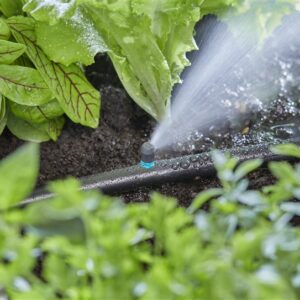 Laistymo įranga Gardena Micro Drip System Spray Nozzle 5 vnt - Image 2