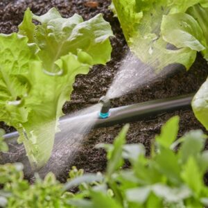 Laistymo įranga Micro Drip System Sprinkler 5 vnt. - Image 3