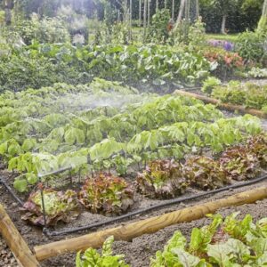 Laistymo sistema Gardena Micro Drip System 60m2 - Image 3