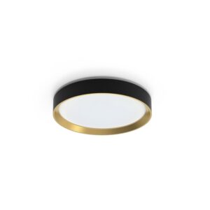 Šviestuvas lubų Philips 929004115901, 24 W, LED, 4000 °K