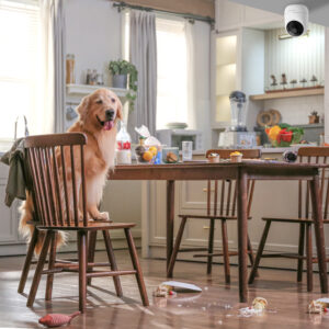 Dreame Navo Care SE 1 Incam indoor camera - baltos spalvos - Image 9