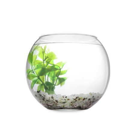 360_F_361794907_E3OE4HdVcIUE203VvzB62v0Tx4QNYsQc