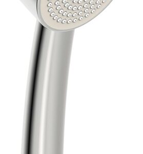 DUŠAS RANKINIS. ORAS APOLLO252022