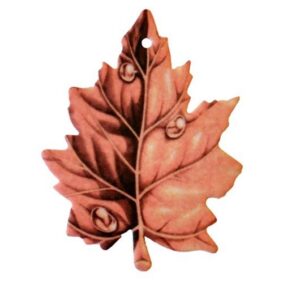 Automobilių oro gaiviklis Vanilla - Image 1