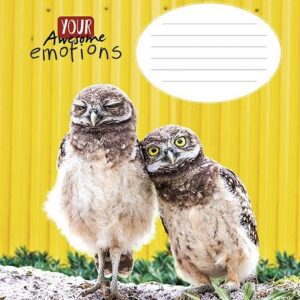 Sąsiuvinis linijomis72054/2721K, A5, 12 lapų - Image 3