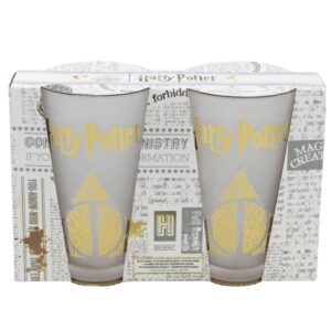 Harry Potter - Set of Two Glasses in Decorative Box from Golden Magic Collection 490 ml