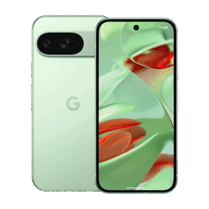 Išmanusis telefonas Google Pixel 9 5G Dual Sim 12GB RAM 128GB - Wintergreen