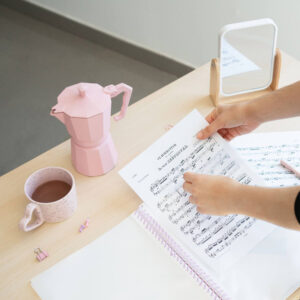 Pusheen - A4 A4 binder with elastic band + 30 transparent shirts - Image 5