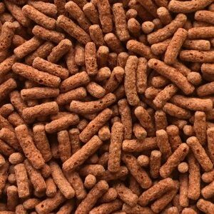 Dajana Cichlids sticks 250ml/80g - Image 2