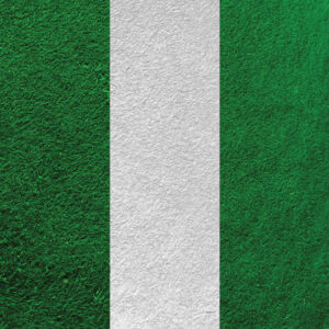 Nexgen Skins with 3D effect for iPad 2/3/4 (Soccer Field 3D) - Image 2