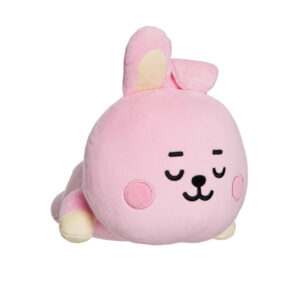 Line Friends BT21 - Plush cushion 28 cm COOKY Baby - Image 3