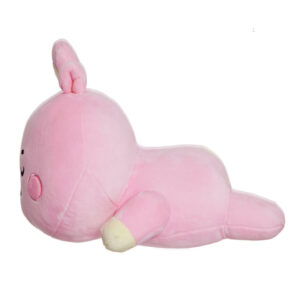 Line Friends BT21 - Plush cushion 28 cm COOKY Baby - Image 4