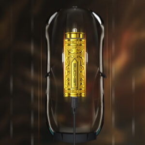 WEKOME WP-C37 Sakin Series - USB-C & USB-A Fast Charging PD 20W automobilinis įkroviklis aukso spalvos - Image 5