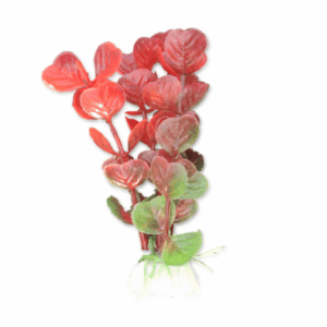 Dirbtinis augalas 10 cm