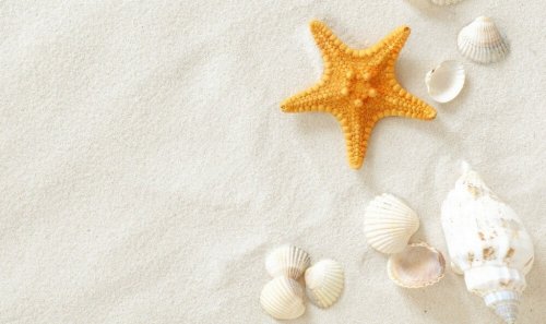 baltas-smelis-e1540472758934