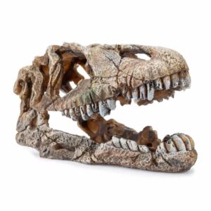 Dekoracija dinozauro galva