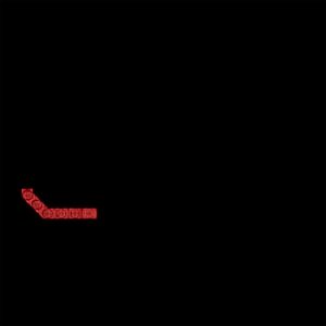 Gabaritų žibintas LED neon 1224V right - Image 10