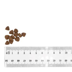 BULT Duck and Turkey Puppy - sausas maistas šunims - 3kg