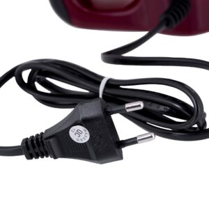 Russell Hobbs 24670-56 plakiklis Rankinis plaktuvas 350 W Raudona