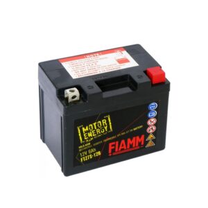 AKUMULIATORIUS FTX7A-12B 6AH 100A