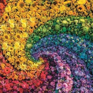 Dėlionė Compact Colorboom Collection 39779, 50x70cm 1000 vnt - Image 2