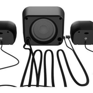 KOLONĖLĖS NATEC PUG - Image 2