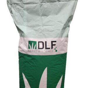 Vejų sėklos DLF Playground, 20 kg