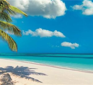 Dėlionė Clementoni High Quality Panorama 39884, 1000 vnt. - Image 2