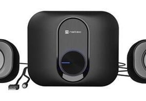 KOLONĖLĖS NATEC PUG - Image 1