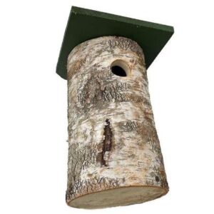 Inkilas, 19 cm x 13 cm