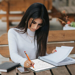 Metapen Pencil Air8 Pro X stylus skirtas Apple iPad - orange - Image 4