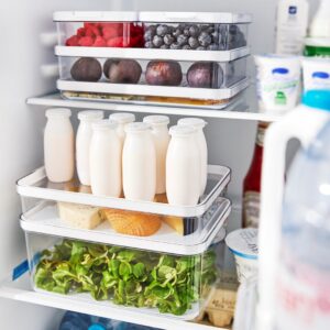 ROTHO Rondo Cauma - maisto laikymo indas - 1,2l - Image 3