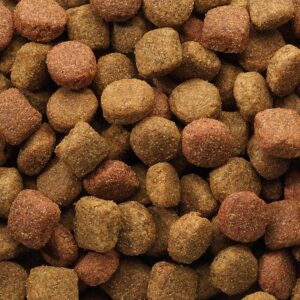 VERSELE-LAGA Classic Duo Krok - sausas maistas šunims - 20 kg - Image 2