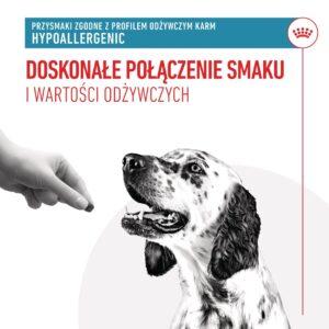 ROYAL CANIN Dog Hypoallergenic Treats - skanėstas šuniui - 230g - Image 2