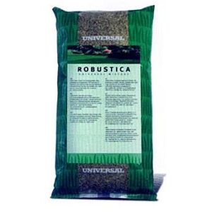 Vejų sėklos DLF Robustika, 1 kg