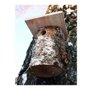 Inkilas SN BIRDHOUSE, 18×15×15 cm, zylėms - Image 2