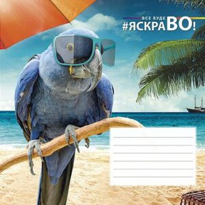 Sąsiuvinis 12 lapų langeliai 012-2720L