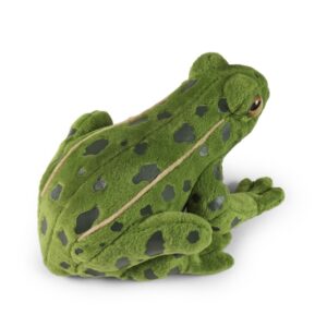 Rappa - Plush realistic green frog stuffed animal 19 cm Eco-Friendly - Image 4