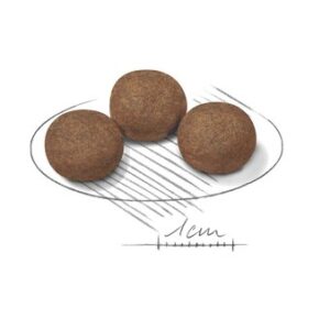 Royal Canin Medium Puppy 15 kg Šuniukas Daržovių - Image 2