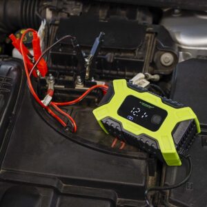 Intelligent digital rectifier for 12V 6A, 2-100 Ah batteries - Image 3